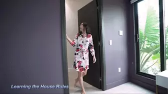 Amiee Cambridge - Moving In- Vol 3 - Free Use Step Aunt - Learning The House Rules (HD-720p)
