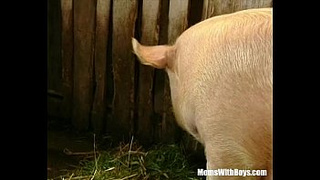 Brunette Bitch Farmer Hairy Vagina Barn Banged