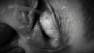 Cream pie My Squirting Vagina